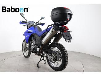 Yamaha XT 660 R picture 6