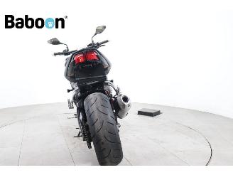 Yamaha FZ 1 N picture 6