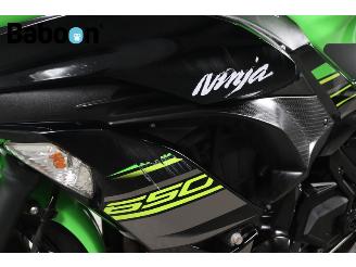 Kawasaki Ninja 650 KRT Edition picture 22