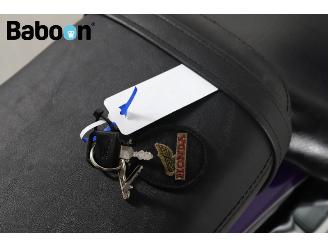 Honda VT 750 C2 Shadow ACE picture 19