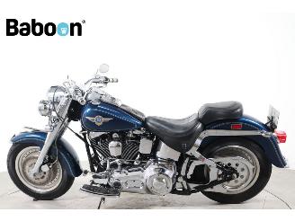 Harley-Davidson  FLSTF Fat Boy picture 5