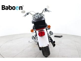 Harley-Davidson  FLSTF Fat Boy picture 7