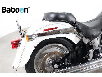 Harley-Davidson  FLSTF Fat Boy picture 14