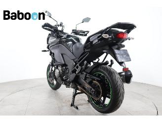 Kawasaki Versys 1000 ABS picture 6