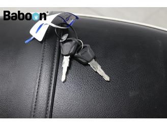 Triumph Bonneville T 100 ABS picture 22