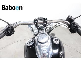 Harley-Davidson  FXWDG Dyna Wide Glide picture 24