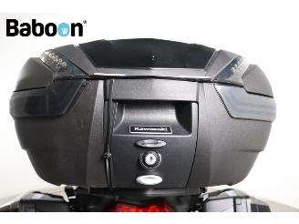 Kawasaki Versys 1000 SE Grand Tourer picture 18