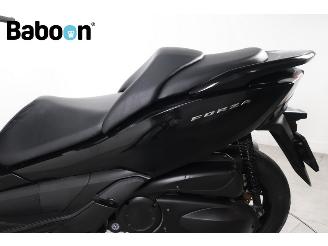 Honda  Forza 300 C-ABS picture 18