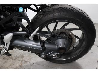 BMW K 1300 R ABS picture 20