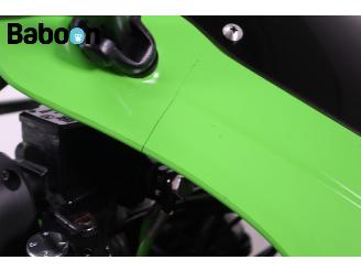 Kawasaki  Ninja ZX-6R picture 11