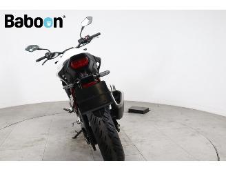 Honda CB 750 Hornet picture 3