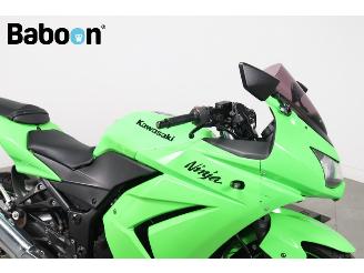 Kawasaki Ninja 250 R  picture 9