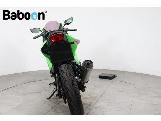 Kawasaki Ninja 250 R  picture 3