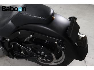 Harley-Davidson  FLSTFB Fat Boy Special picture 17