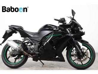 danneggiata motocicli Kawasaki Ninja 250 R  2010/1