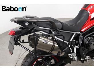 Triumph Tiger 900 GT Pro picture 15
