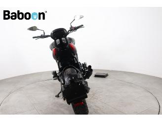 Benelli  502 C picture 3