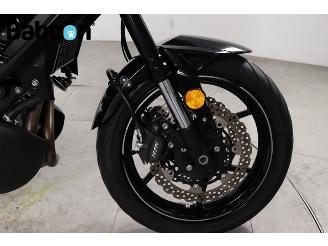 Kawasaki Versys 650 ABS picture 20