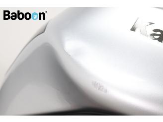 Kawasaki  ER-6 N picture 18