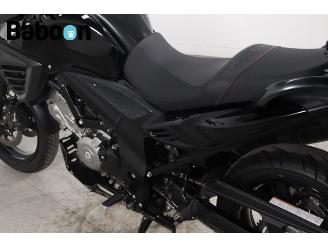 Suzuki DL 650 V-Strom ABS picture 20