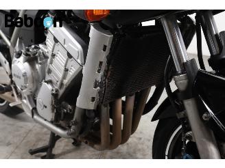 Yamaha FZS 1000 Fazer picture 14