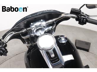 Harley-Davidson  FLSB Softail Sport Glide picture 23
