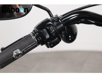 Harley-Davidson XL 883 N iron picture 20