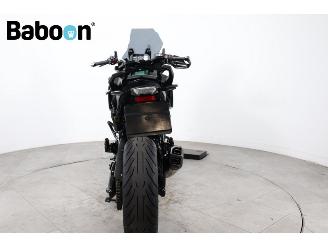 BMW  F 900 XR ABS picture 3