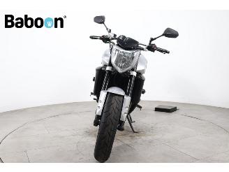 Yamaha FZ 1  picture 5
