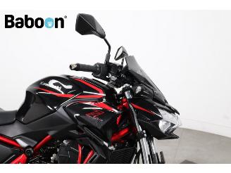 Kawasaki Z 650 ABS picture 10