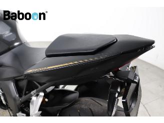 Honda CB 1000 Hornet SP picture 9