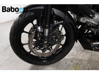 Suzuki  DL 1000 V-Strom ABS picture 16