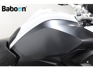 BMW R 1250 GS ABS picture 26