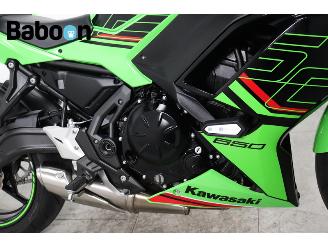 Kawasaki Ninja 650  picture 18