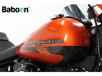 Harley-Davidson  FLSB Softail Sport Glide picture 17