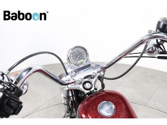 Harley-Davidson XL 1200 V Seventy-Two picture 12