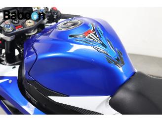 Suzuki  GSX-R 750 picture 10