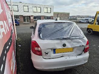 Skoda Fabia 1.2 TDI greenline picture 4