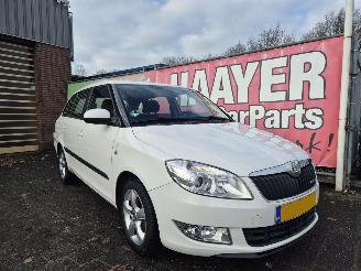 Unfallwagen Skoda Fabia 1.2 TDI greenline 2011/12