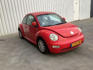 Volkswagen Beetle  picture 2