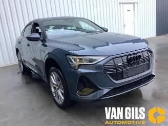 Audi E-tron e-tron Sportback (GEA), SUV, 2019 / 2023 55 picture 24