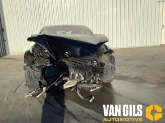 Tesla Model S Model S, Liftback, 2012 / 2026 P100D picture 17