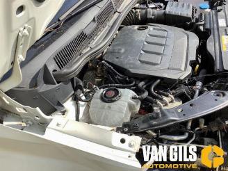 Volkswagen Caddy Caddy Cargo V (SBA/SBH), Van, 2020 2.0 TDI BlueMotionTechnology picture 4