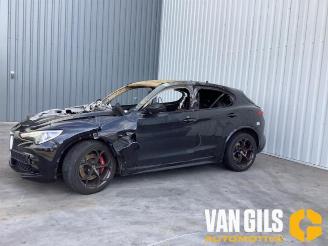 Sloopauto Alfa Romeo Stelvio Stelvio (949), SUV, 2017 2.9 Bi-Turbo V6 24V Q4 2020/9