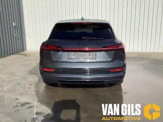 Audi E-tron e-tron (GEN), SUV, 2018 / 2023 55 quattro picture 2