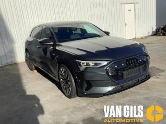 Audi E-tron e-tron (GEN), SUV, 2018 / 2023 55 quattro picture 23
