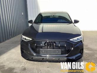 Audi E-tron e-tron (GEN), SUV, 2018 / 2023 55 quattro picture 20