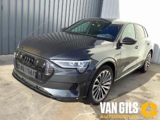 Audi E-tron e-tron (GEN), SUV, 2018 / 2023 55 quattro picture 22