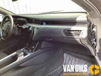 Audi E-tron e-tron (GEN), SUV, 2018 / 2023 55 quattro picture 11