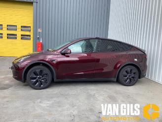 Salvage car Tesla Model Y Model Y (5YJY), SUV, 2019 / 2025 Long Range RWD 2024/12